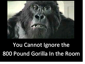 800 pound gorilla