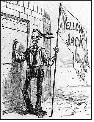 Yellow-Jack